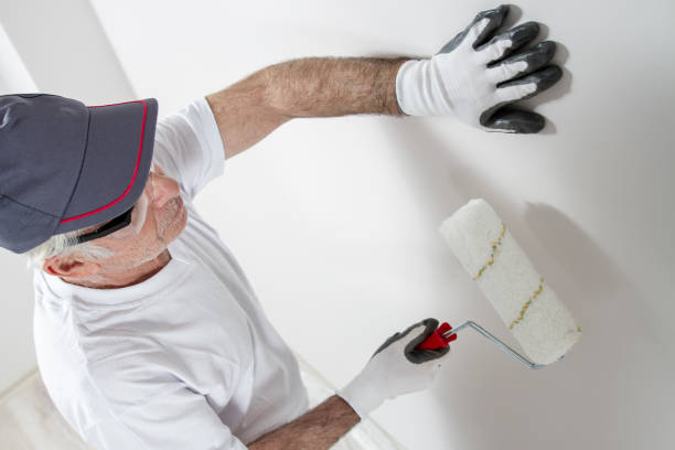 Best Comprehensive Air Testing for Mold Contaminants  in Sun Lakes, AZ