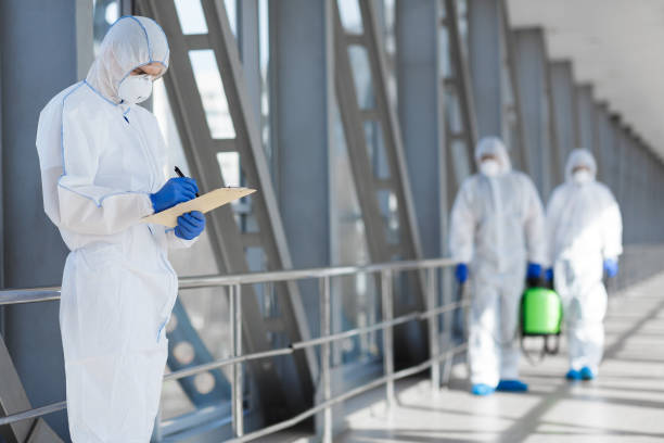 Sun Lakes, AZ Mold Removal Company