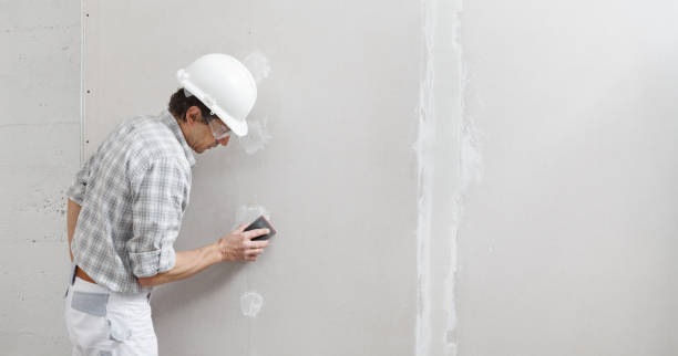 Best Mold Odor Removal Services  in Sun Lakes, AZ