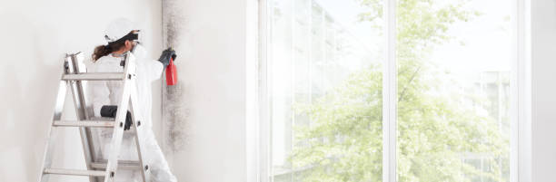 Best HVAC Mold Inspection and Cleaning  in Sun Lakes, AZ