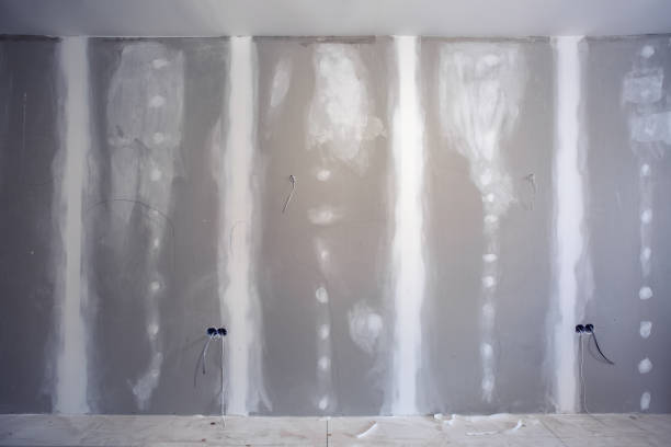 Best Post-Construction Mold Inspection  in Sun Lakes, AZ